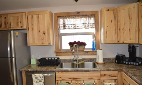 kitchen sink and window