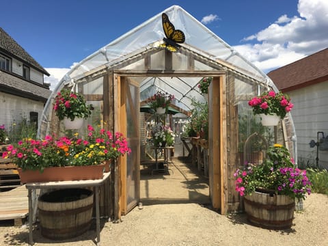 Fraser Flower and Elizabeth Kurtak Art Gallery share the downstairs space.