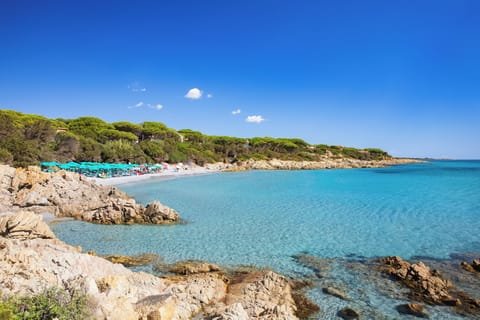 Beach nearby, free beach shuttle, sun loungers, beach umbrellas