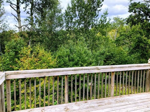Deck overlooking forest 