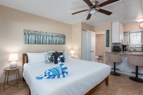 Sleeping Area: Features a plush King-sized bed shared with the main living space.