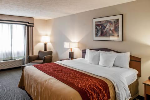 Room, 1 King Bed, Non Smoking | Desk, iron/ironing board, rollaway beds, free WiFi