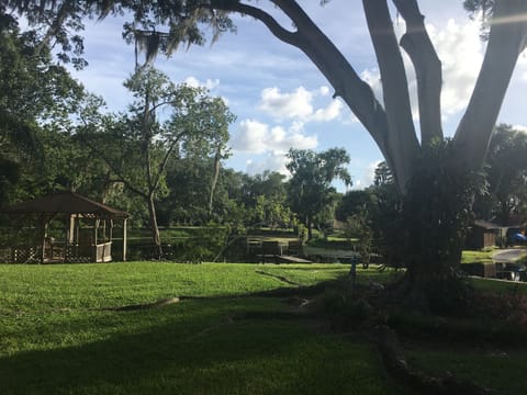 The prettiest tree in the neighborhood!