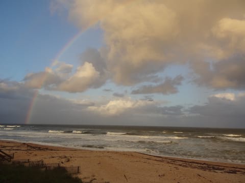 Ocean Rainbow 