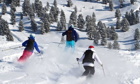 Snow and ski sports