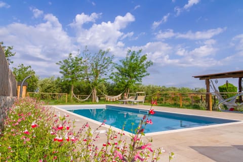 Seasonal outdoor pool, sun loungers