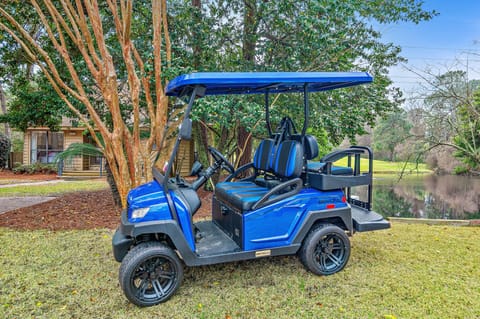New Golf Cart