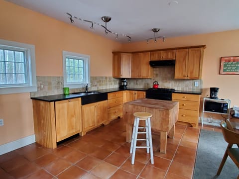 Kitchen with ample space for cooking or baking