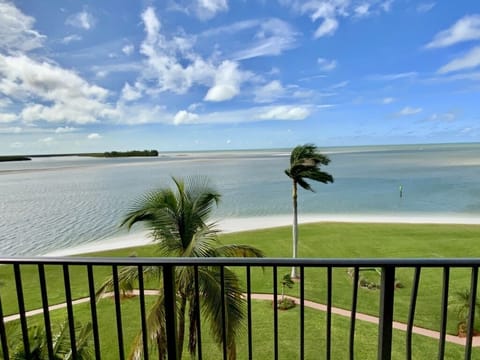 South view from the deck 

