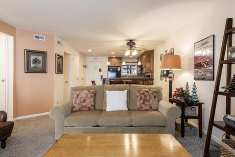 Queen sofa sleeper in the living room