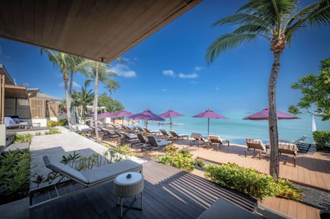 Oceanfront Premium (Beach wing) | Terrace/patio