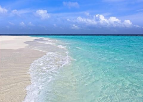 Our Gulf of Mexico
