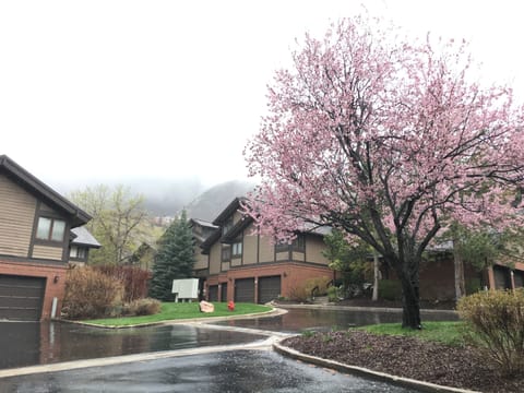 Spring working it's magic at the CRCC.