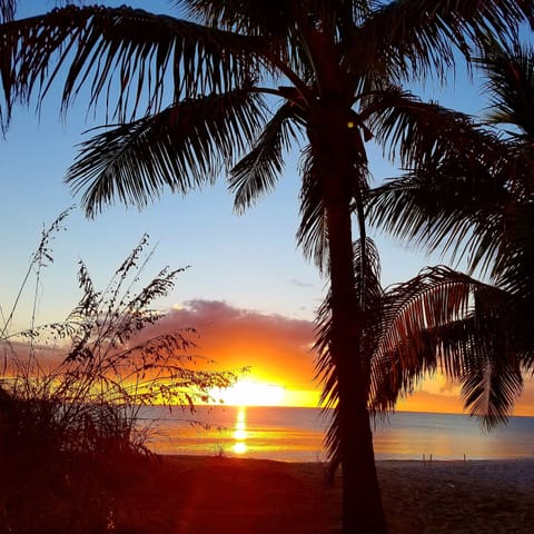 Another great sunset!