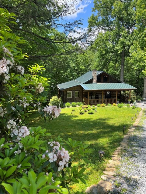 Hemlock Hill Cabin nestled among the trees - your private mountain retreat. Tucked away yet close to adventure, it’s the perfect blend of seclusion and comfort for your getaway. 🌲✨