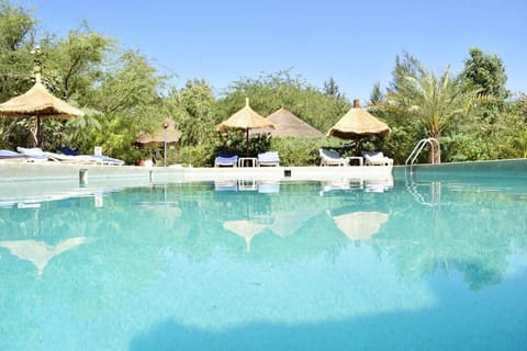 Outdoor pool, pool umbrellas, sun loungers