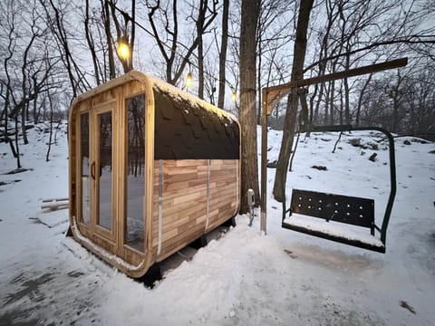 Sauna and custom genuine ski chair swing.