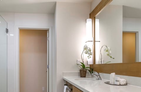 Designer toiletries, hair dryer, towels