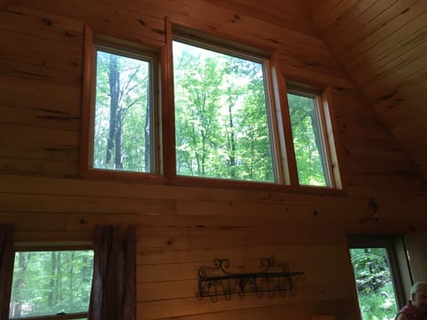 Views of woods out the windows.