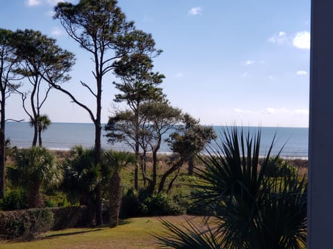 AWESOME view from the balcony! You can hear the waves!