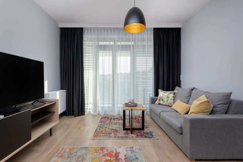 A modern living room featuring a comfortable sofa, a large flat-screen TV, a coffee table, and a colorful rug, with large curtains covering the windows.