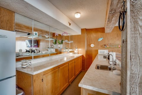 lower level bar area and extra refrig.