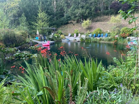Your oasis awaits!