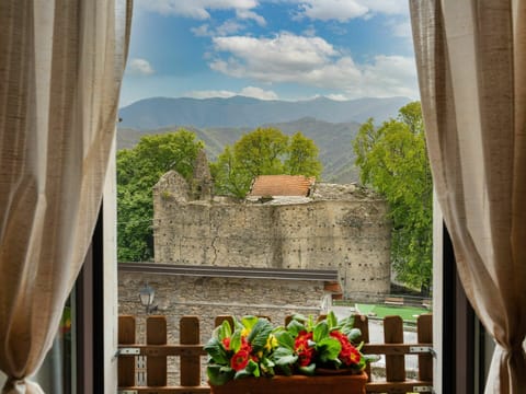 Plant, Cloud, Flower, Sky, Property, Daytime, Nature, Leaf, Wood, Architecture