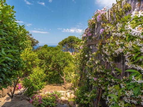 Sky, Cloud, Plant, Flower, Botany, Natural Landscape, Woody Plant, Flowering Plant, Tree, Shrub