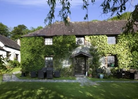 Bramble stepping out onto the front lawns