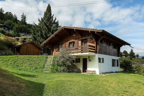Garden with lawn