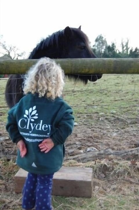 Clydey Girl & Pony