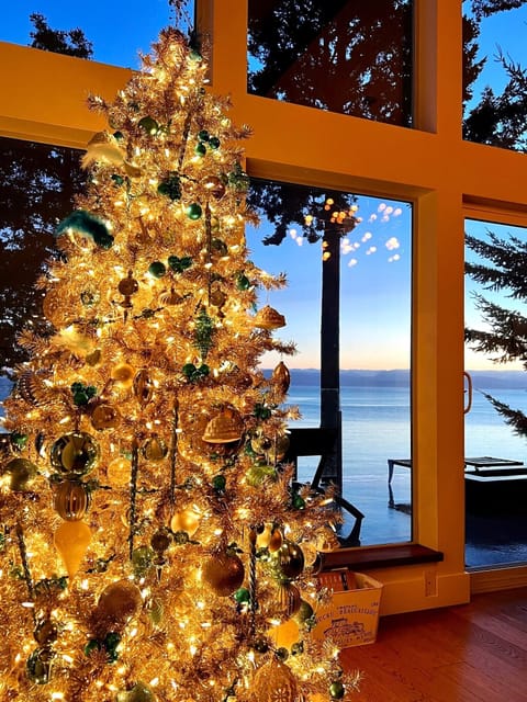 Celebrate a spectacular Christmas or New Year's on the Pacific Ocean this year!
