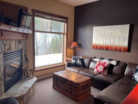 Living Room | Double Sofa Bed Sleeps 1 Adult or 2 Small Children