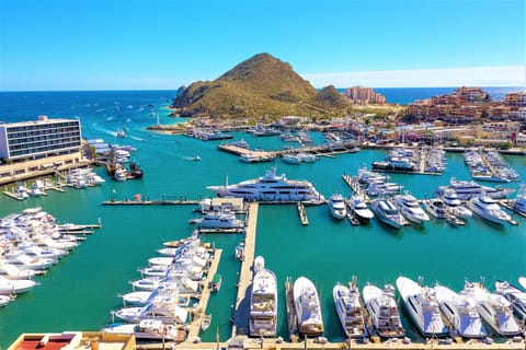 Amazing view to the marina from the condo.