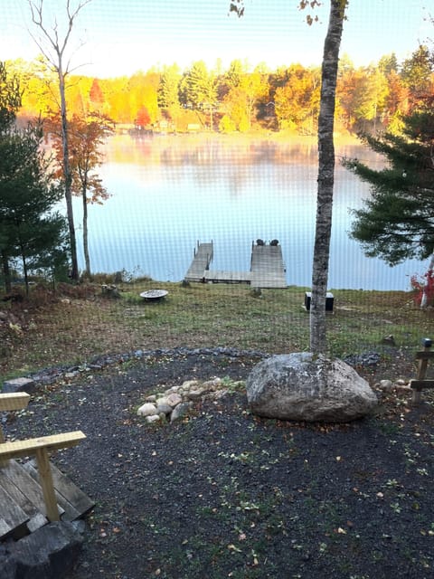 Current view from the screened porch