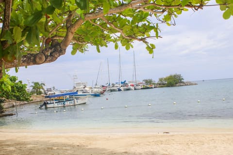 Beach nearby, white sand