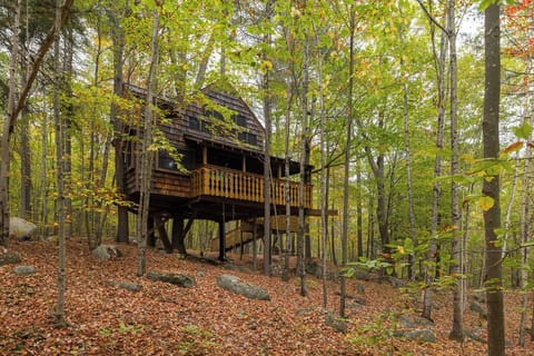 Treehouse side porch 