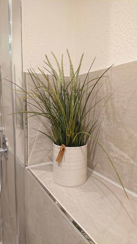 Apartment | Bathroom amenities | Shower, hair dryer, soap