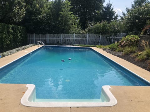 Cool off with a dip in the saltwater pool. 