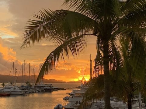 Wake up and enjoy a beautiful sunrise. 