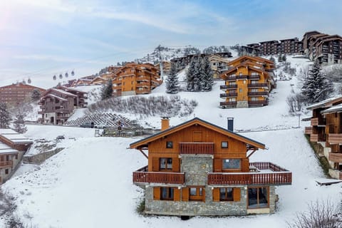 The chalet perfectly situated among alpine trees with gondola views