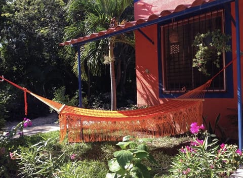 Front yard with hammock and roofed terrace, jungle view
