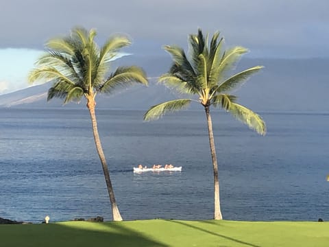 View from the lani