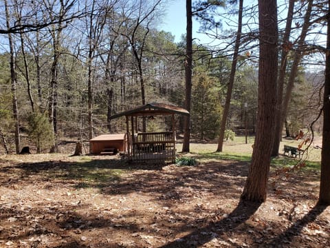 Hot Tub in Back Yard