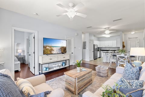 Large Screen TV