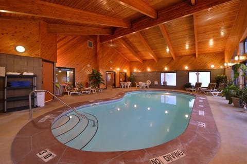 Indoor pool, sun loungers
