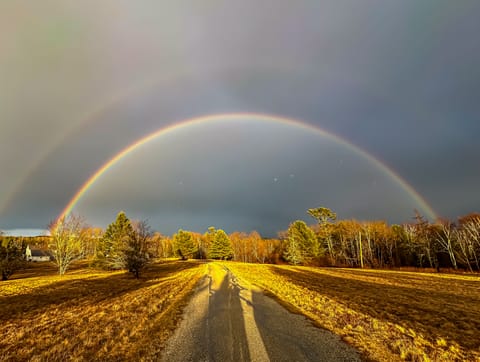 The entrance to our private road just after a rain shower. House is on left