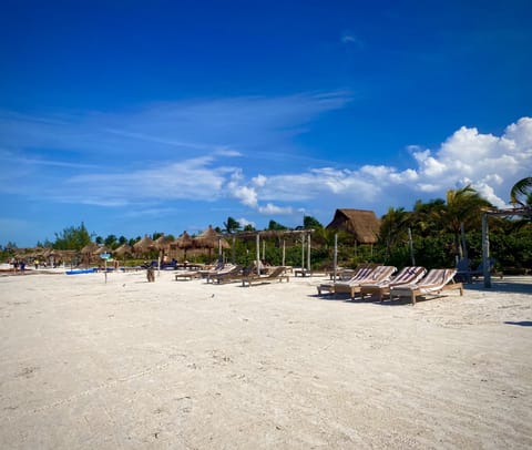 Private beach nearby, beach bar
