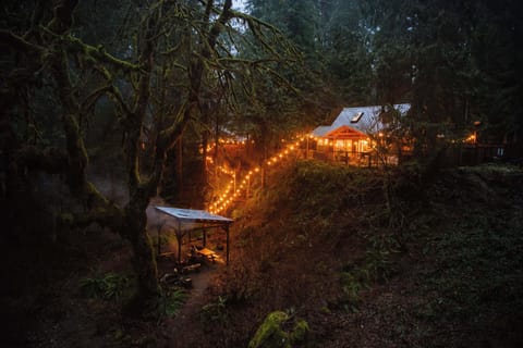 This cabin is so magical!